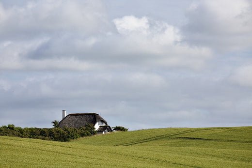 Hvilken type isolering til loft? – Find den rette løsning til dit hjem - ISO Team Nordic